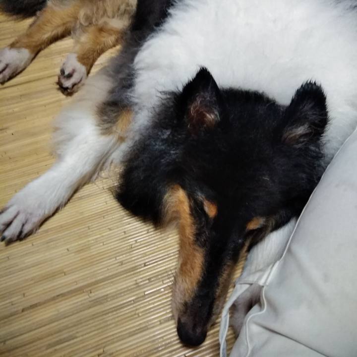 6f2e1cdb 8f84 428f ac5a 3472977c333c 1532770808891