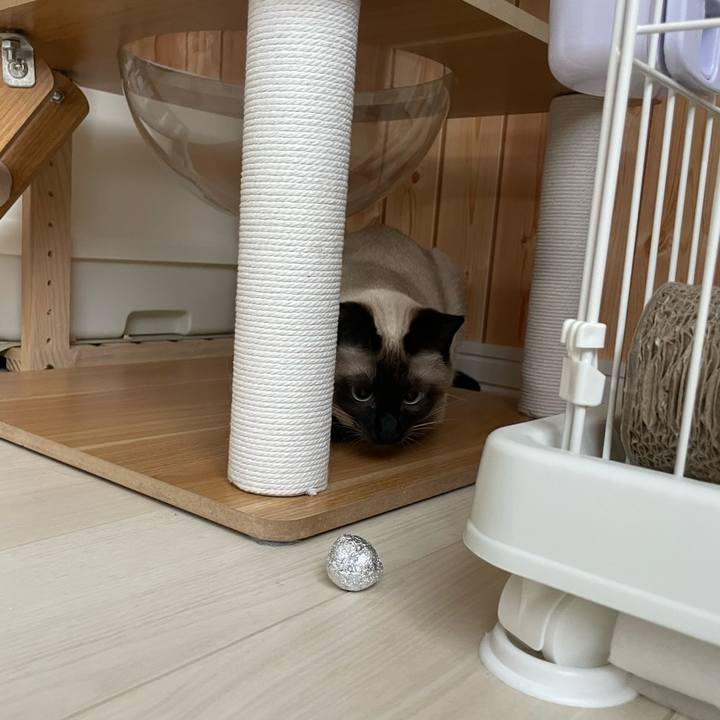 6f2e1f42 5b67 41ad 9034 f6fcbcbd4435 1717703458990