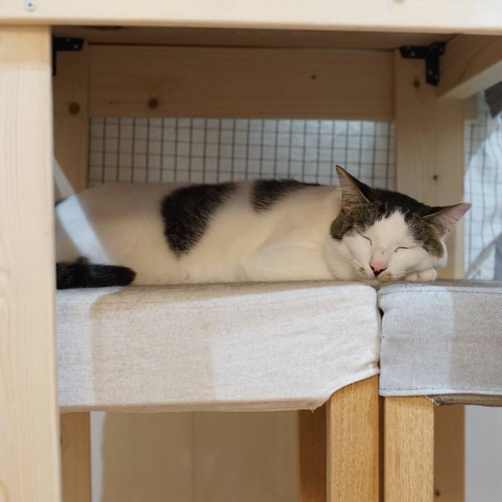 6f2e5ff6 ad76 4a86 b3c2 adeb35323551 1524095453466