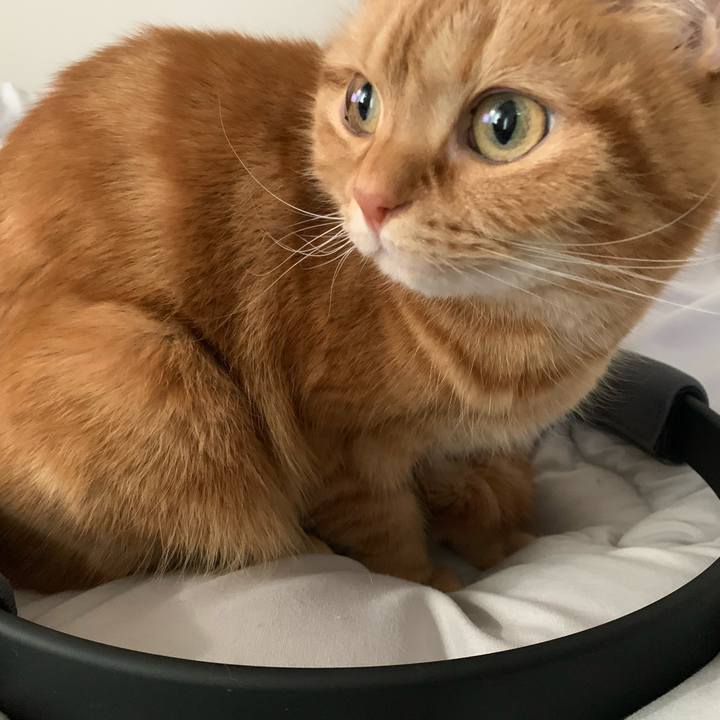 6f2e8b29 c4d3 4f4e 8226 9a31d1878073 1613719545372