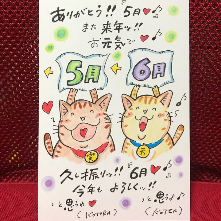 6f2eabcd 83b4 4614 bf33 bb2a87b8c48e 1559322579801