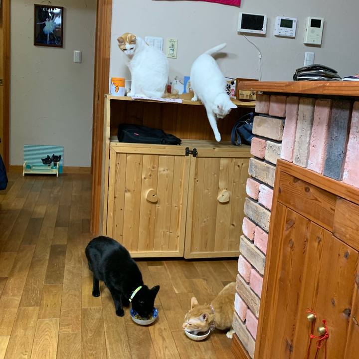 6f2ee1cb 0d41 42b7 81f2 eb7c45a6d171 1555765169387