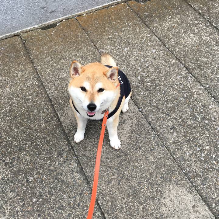 6f2ee209 6b09 4d69 b15c 4cdbdf626559 1559292871131