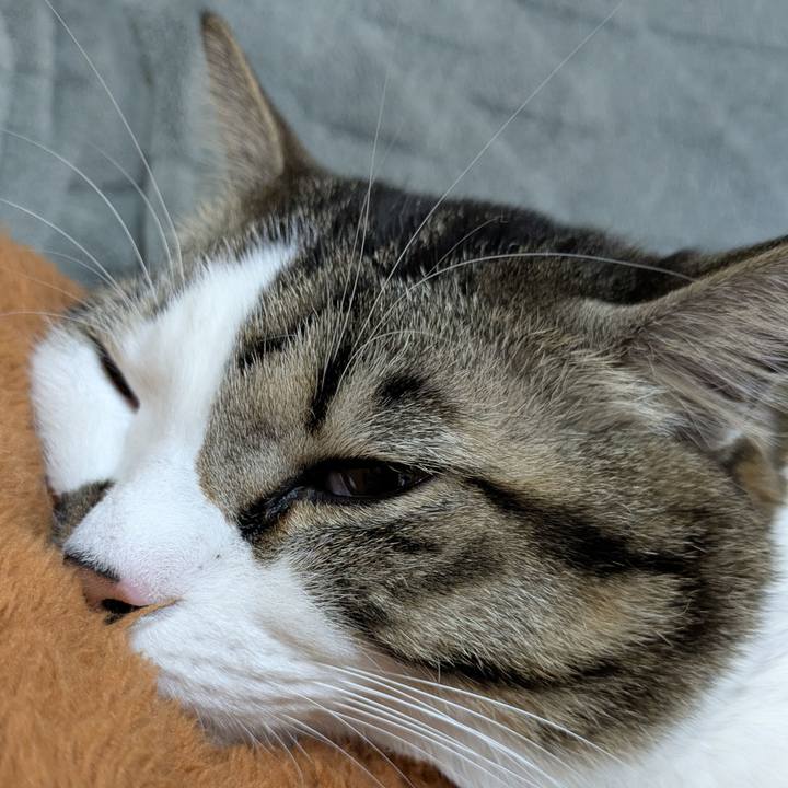 6f2efb19 4058 4d3c 92c4 c85dba758f68 1737683475647