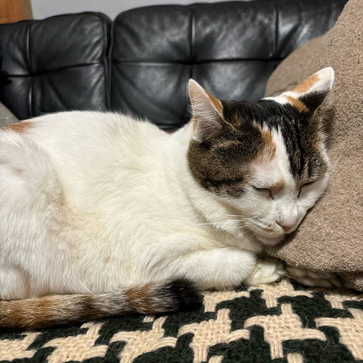 6f2f05ec 5719 4ea9 8e2f f211bbb675fa 1737816837265