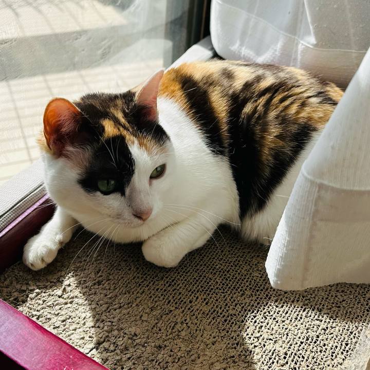 6f2f1456 1030 49bb 83e1 8fe410aea0c3 1682822223593