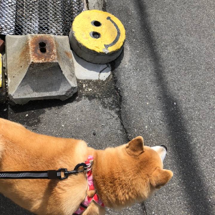 6f2f824a b089 4608 87f6 e544144d6c63 1558428948704