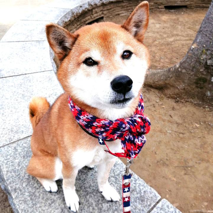 6f2fe542 6788 4c18 b164 1a777464f3a8 1644280313865