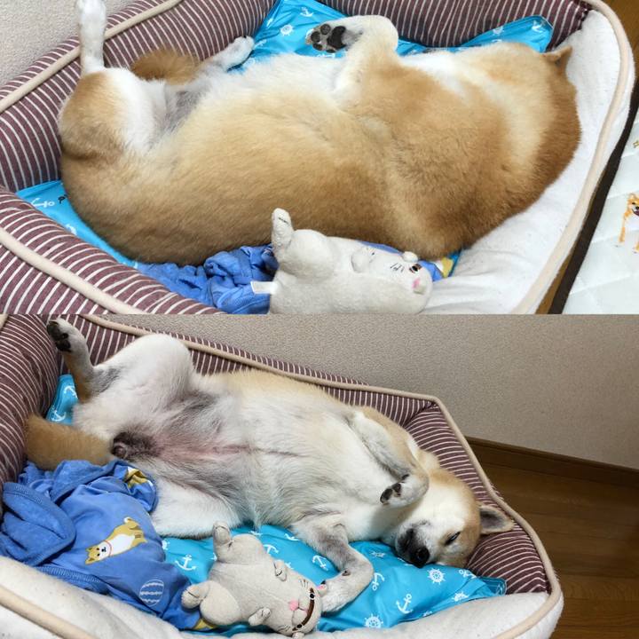 6f2ff8e9 bf5a 4d98 bc85 b89a9ed6b09d 1563842130651