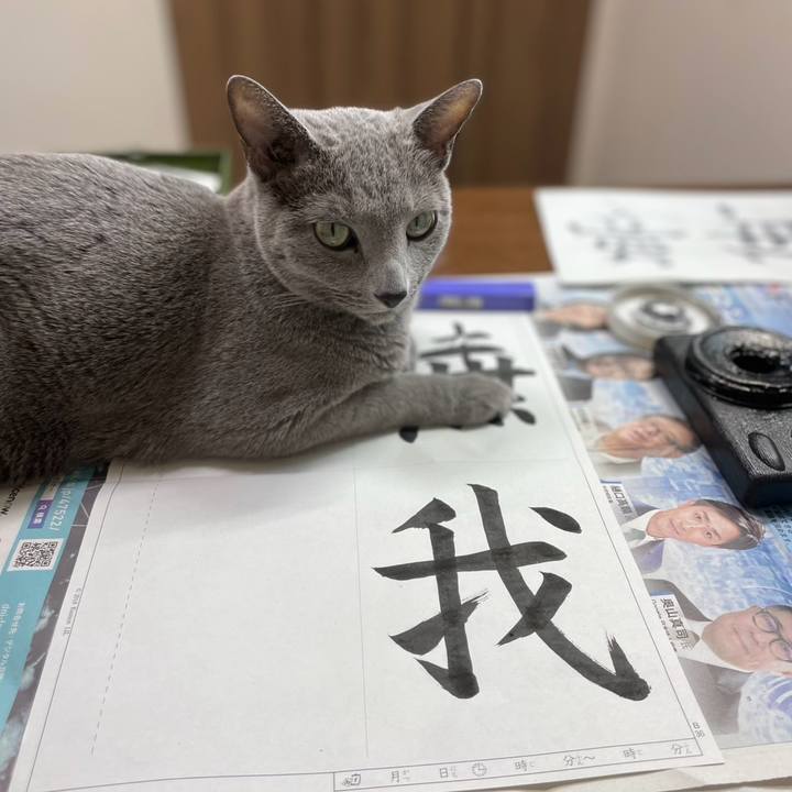 6f3062da 6d49 4a7d a359 5b7a124a6f4f 1753440750132