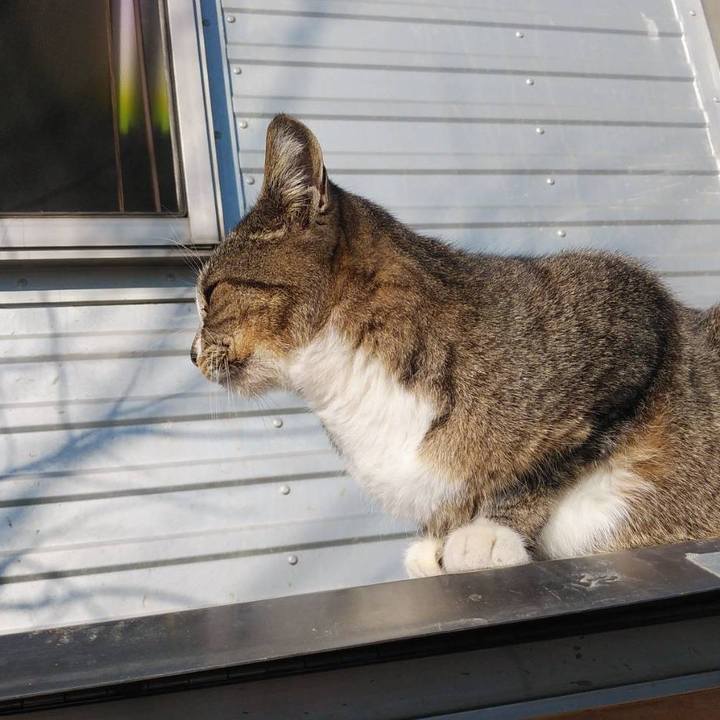 6f3067b8 24d7 4e5c 96da 9ae189187875 1578018050379