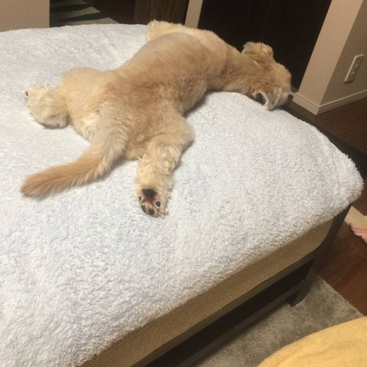 6f308890 4868 40eb 907f 815c9b8f350e 1535626299413