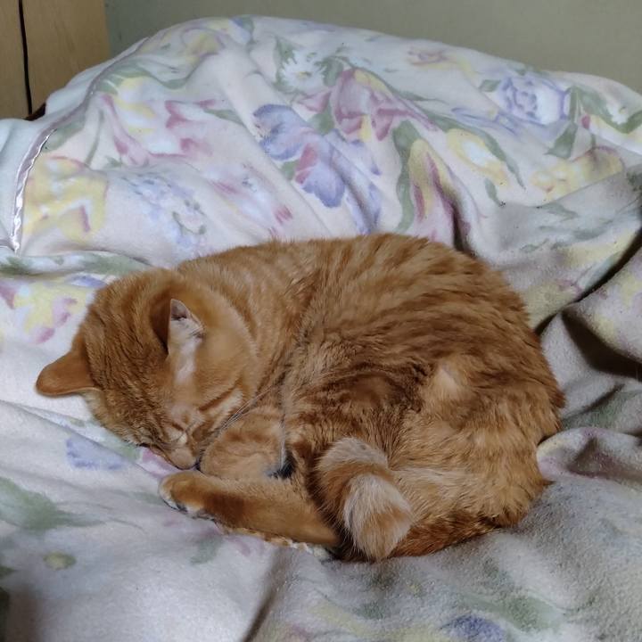 6f30a061 429b 45c6 9b5a 18819bac339d 1674050637615