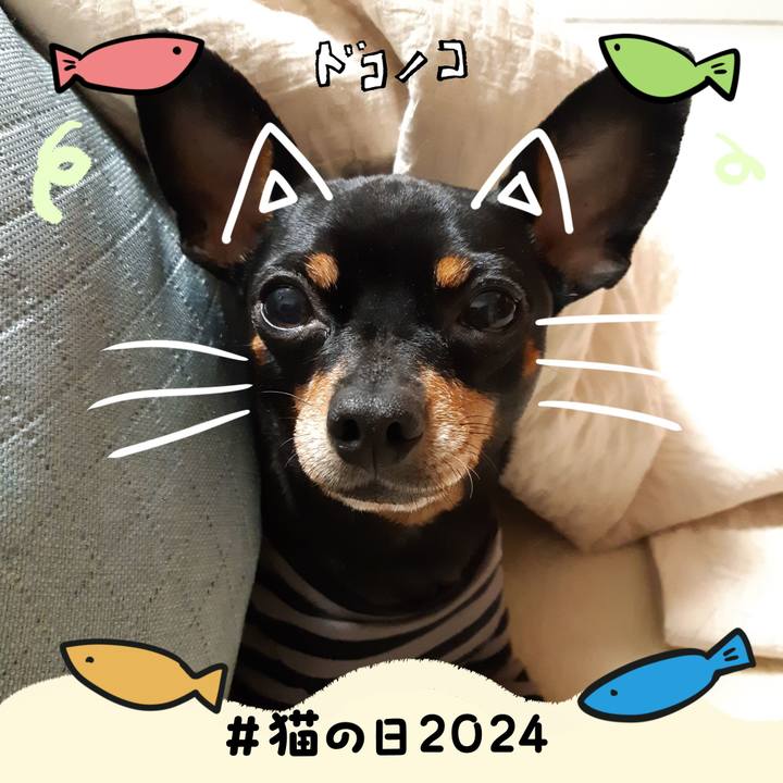 6f30ccc1 174a 45a9 b9f3 0c10f794e2d0 1708602953151