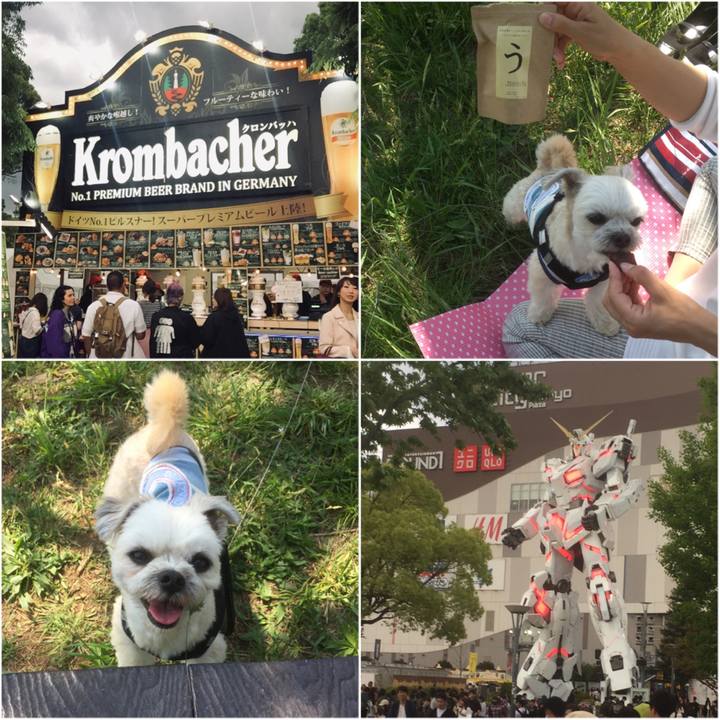 6f30e8b3 f391 46d4 bc8b 73d4637a49af 1556973015938