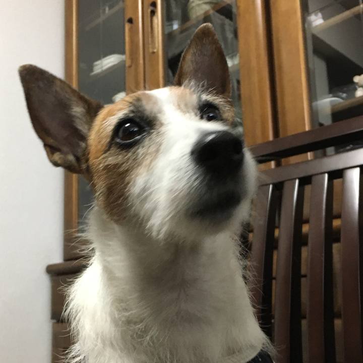 6f30eab0 2c6d 4ffe 9d9c 4e7539b61eca 1576812124335