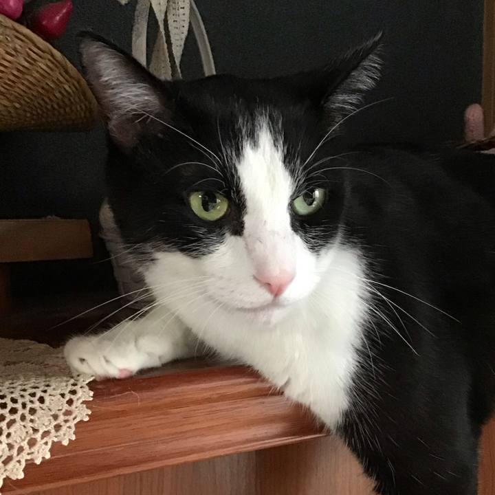 6f311378 eb9b 419b 9e54 2cd3f0d65840 1757676818993