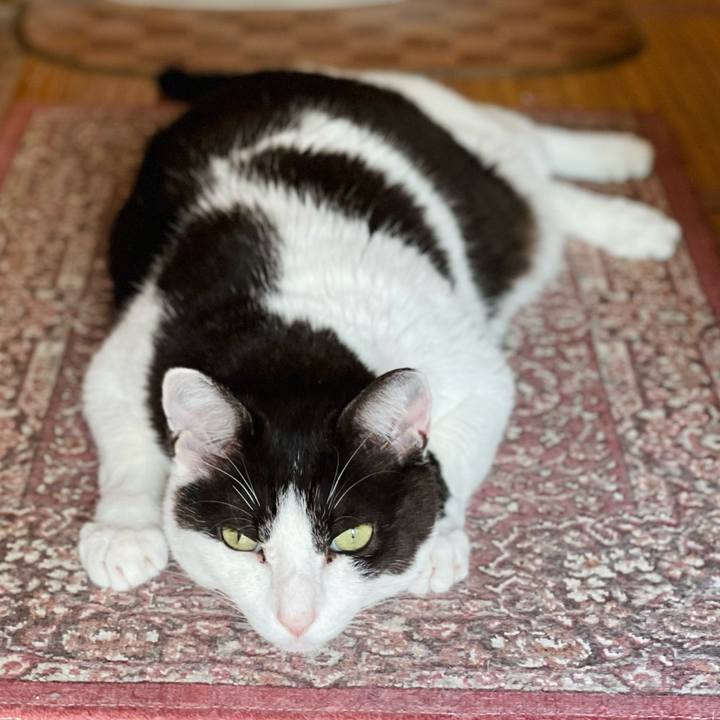 6f315768 d8f0 4dd0 b6b8 47453d4bf90f 1656038891445