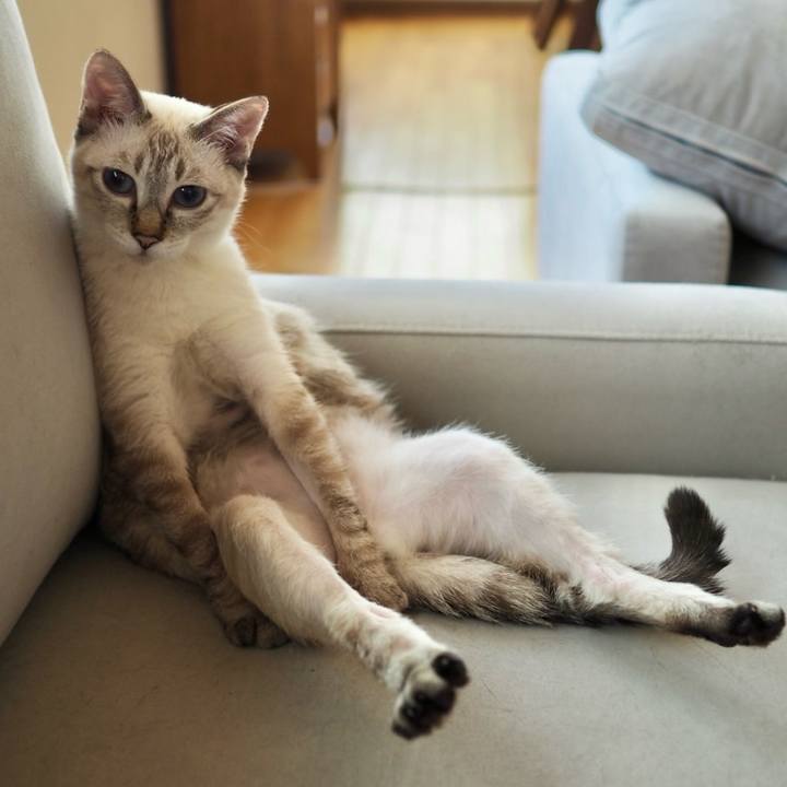 6f31a07d 9c05 406c 811e a92722c723b1 1762866836877