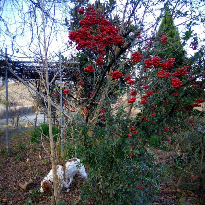 6f31cf56 ba6d 47e7 98c7 dc781a5ab06e 1515630889591