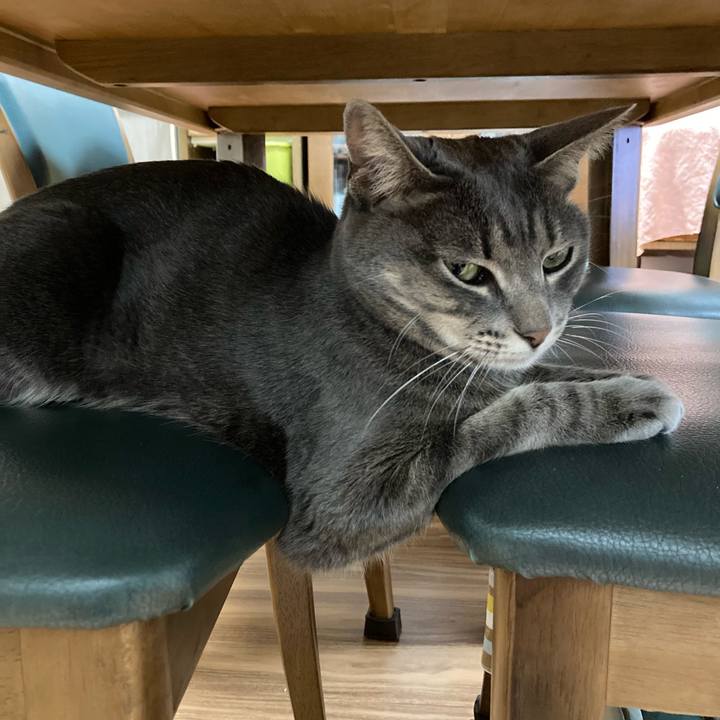 6f31d424 a9e1 4480 9f6e 8971cede3a71 1638360550389