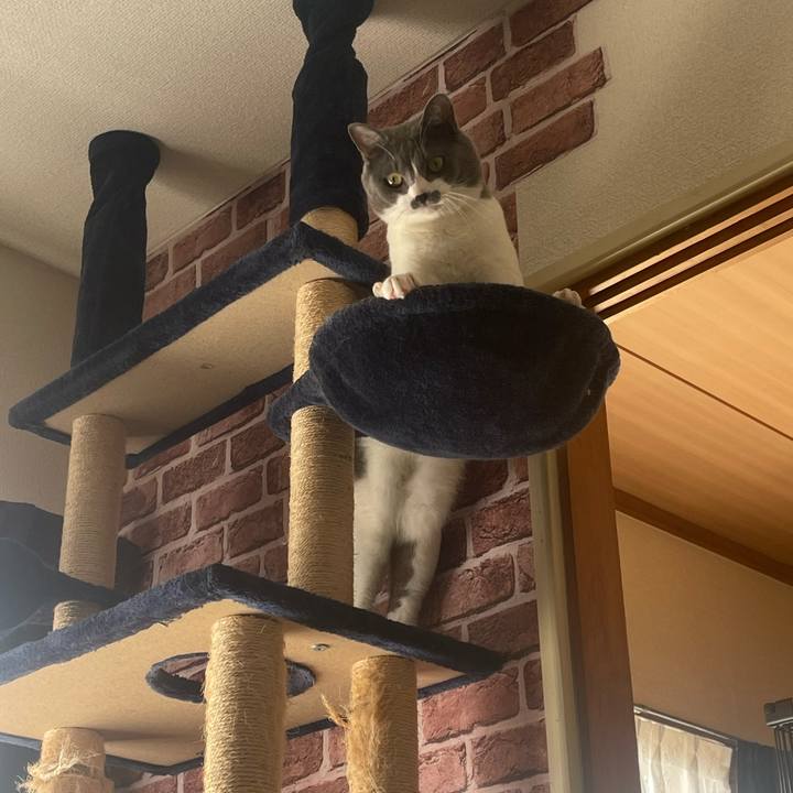 6f31e502 c016 4947 8055 387103769e2c 1666072878934