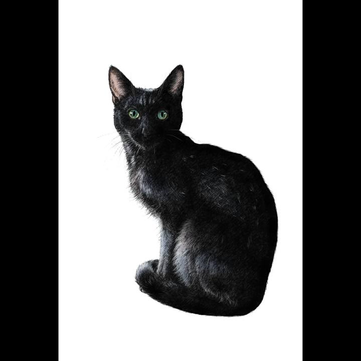 6f322e2c aac0 4300 a0d3 4bfe76d4c0eb 1644419221284