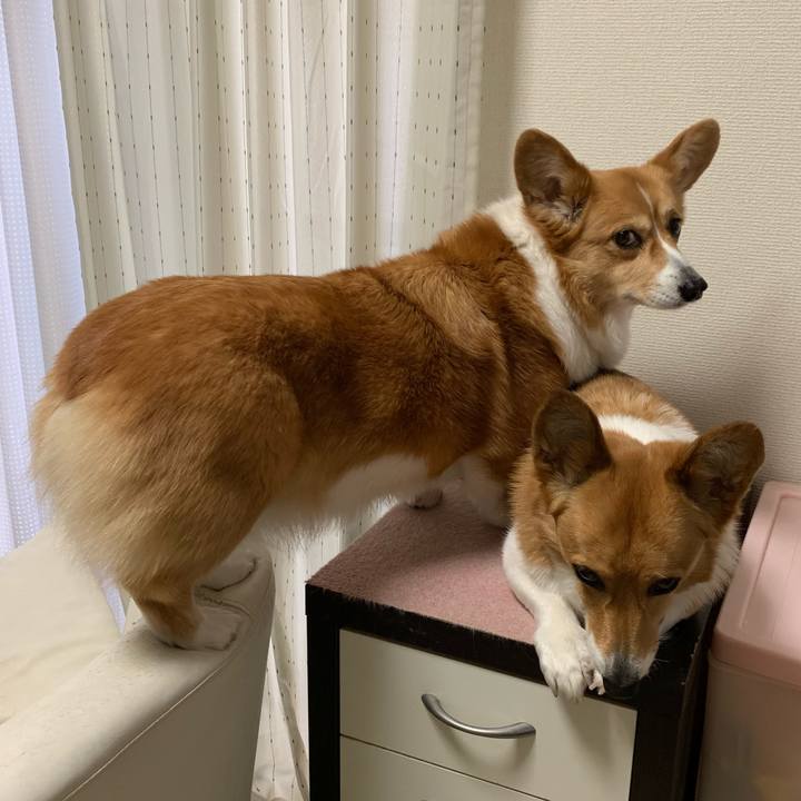 6f325dbc c11f 45cc 805a 9b119be9ba60 1613711993443