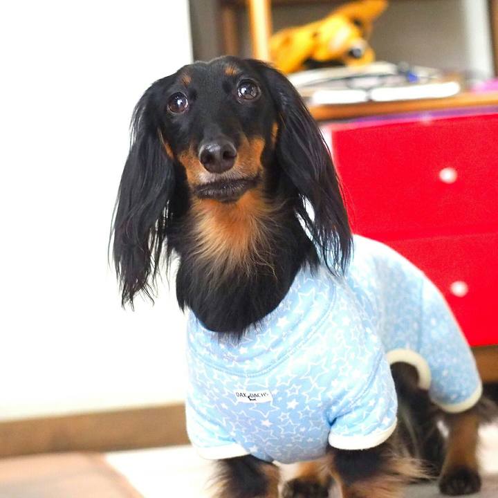 6f32653c 9ed4 4171 9221 1aae1e0ac786 1518923759771