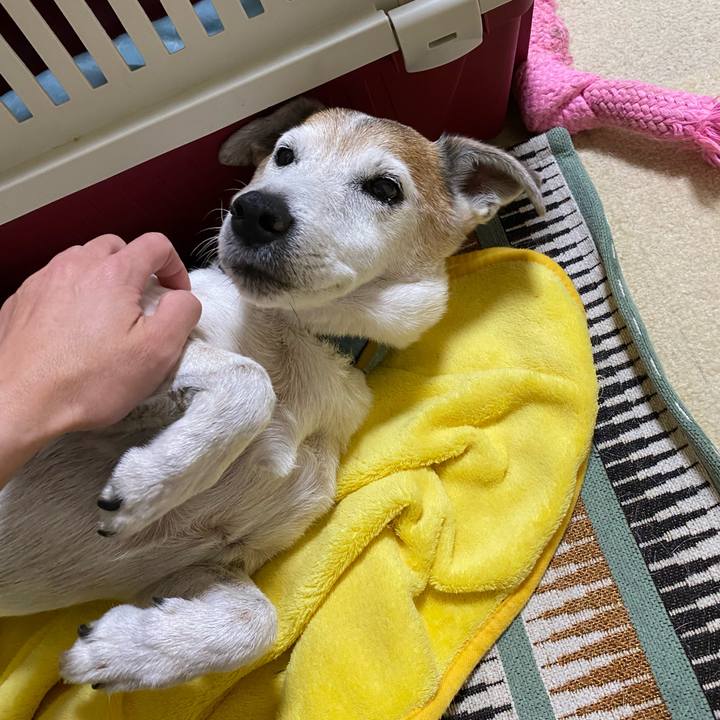 6f32c7a9 dbb0 4a97 b8b9 d9cef5327f44 1627031756784