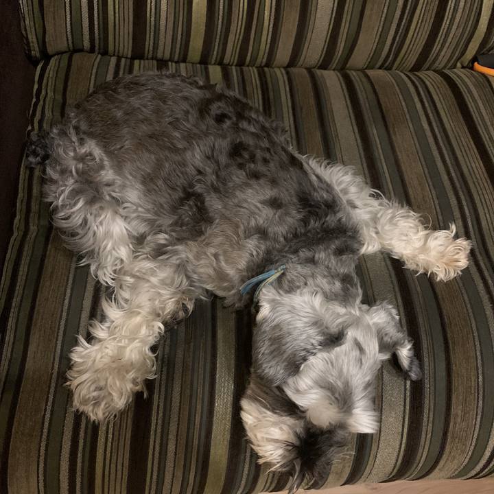 6f32e0a3 e3cb 44d4 808a 10e483587c2f 1589109883580