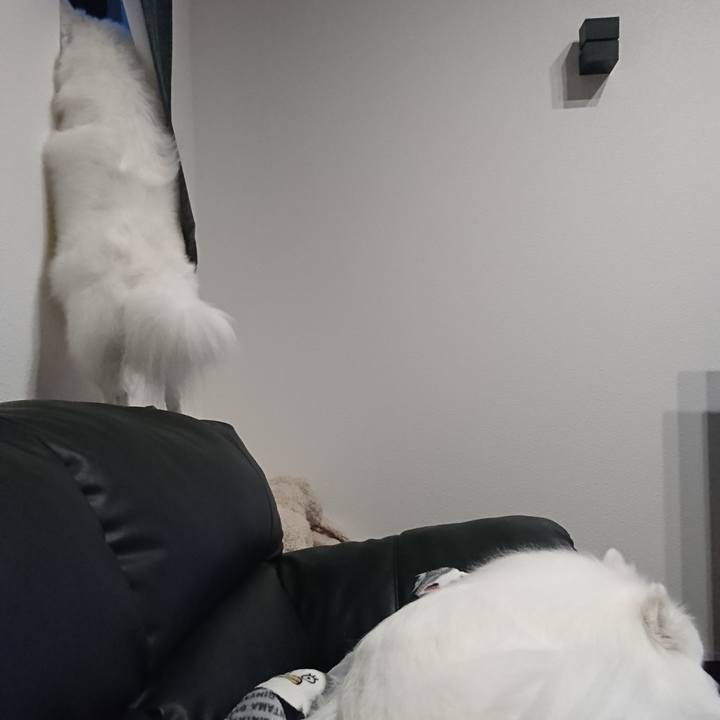 6f330b5c 8e22 4add 9b72 f8ac699aabd5 1593080111068