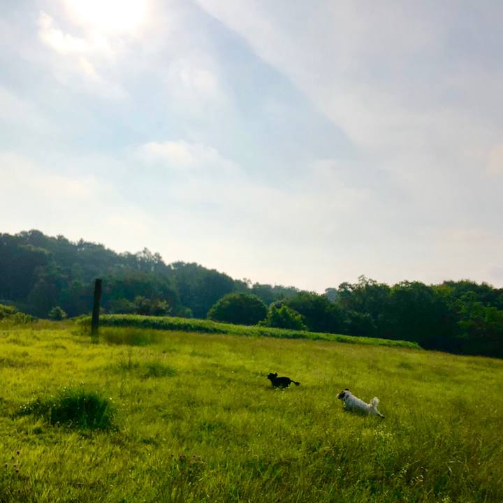 6f331c87 0eb7 479f b21b c529f58480b6 1561509966832