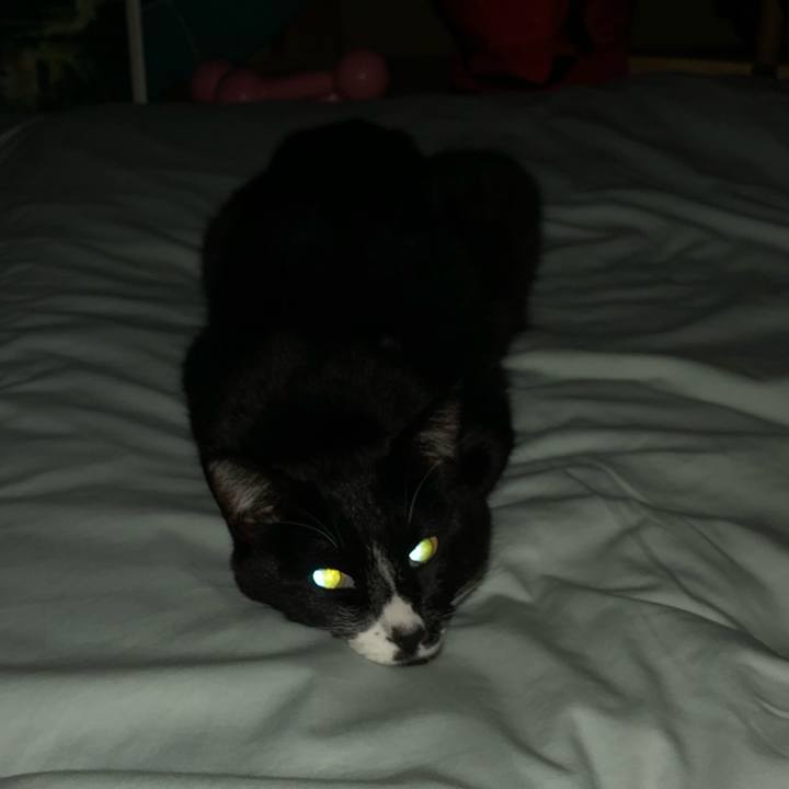 6f3323ea 1422 42c0 8ab6 03048d40c943 1603251570170