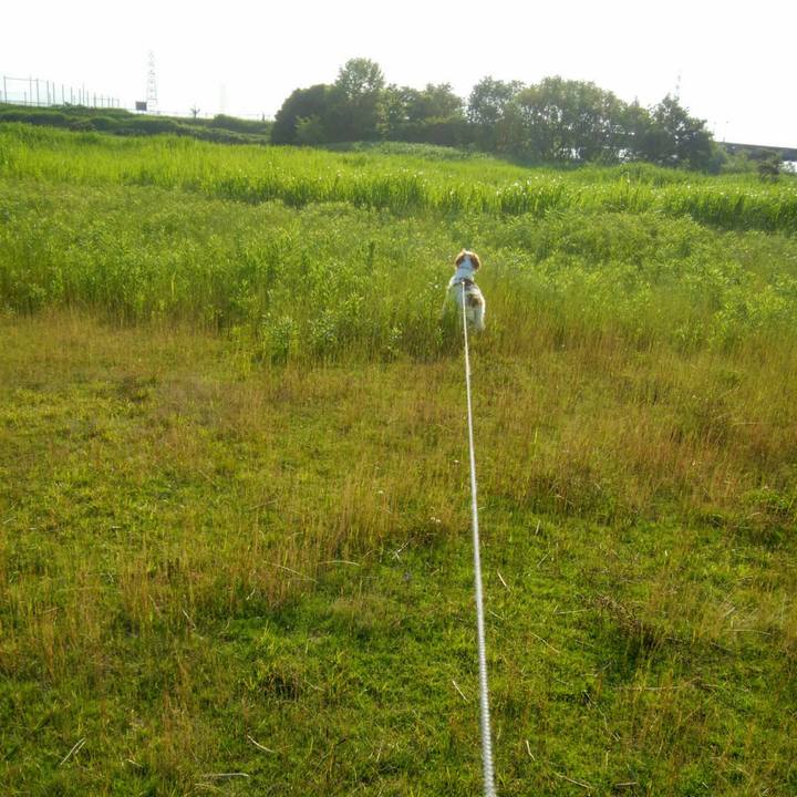 6f33254d edea 4843 94b3 cda8fcaa8d49 1559735348708