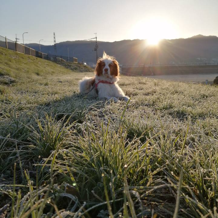 6f334491 ebff 4808 abb2 898fbccf65e5 1582507211014