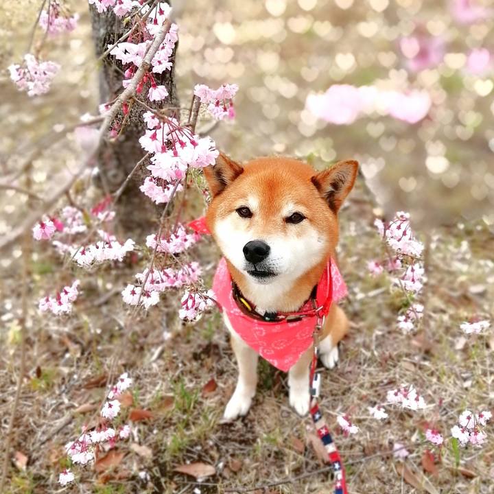 6f335466 66f8 475e bb84 ee1849bb07eb 1649207449305