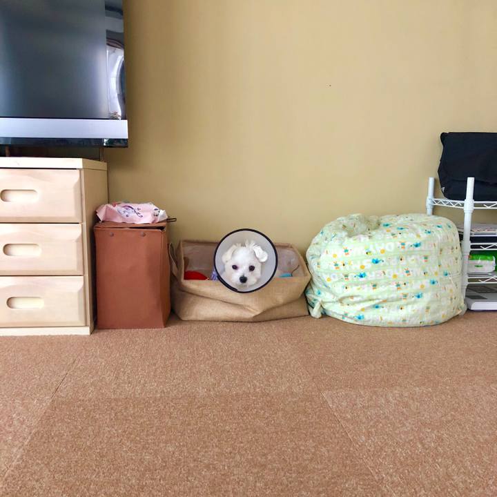 6f33ec05 0aee 4296 a9ae 0bc8a7713a57 1531176429892