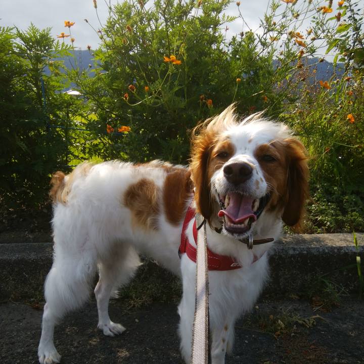 6f340184 9f80 488a bcb0 bb4b356b0490 1533625136426