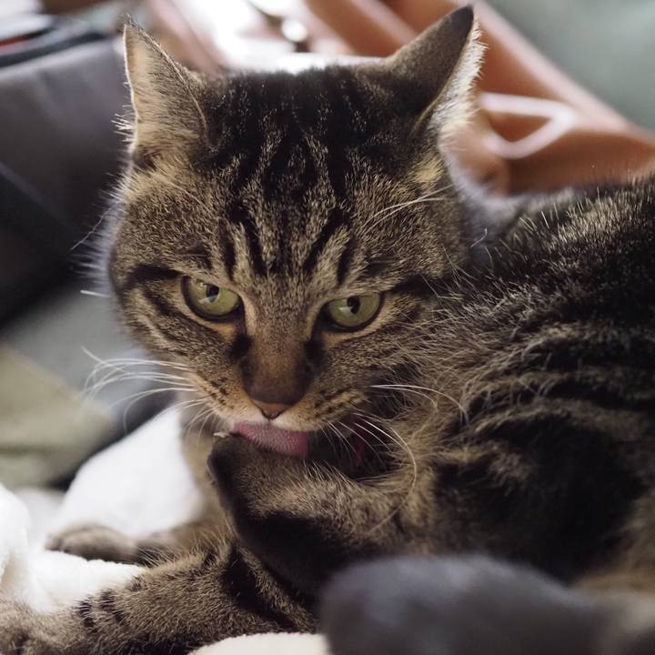 6f342680 ce36 4eae bdd9 52cba1e892e9 1643548943517