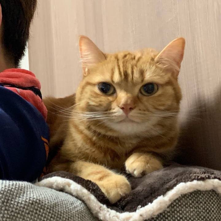 6f342683 4f83 4087 b67b 2618c908a3cf 1559449582675