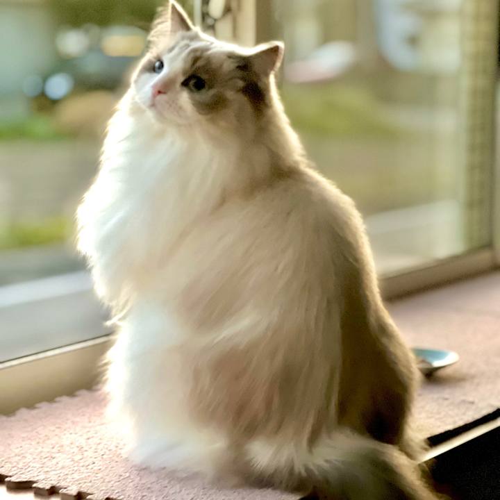 6f3466a5 738b 47ff bf67 945cc2d30451 1669118837769