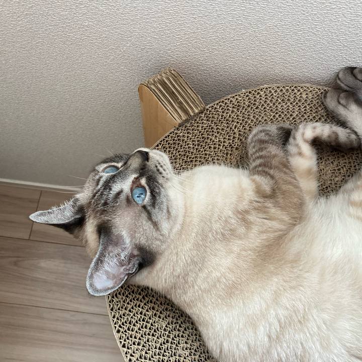 6f346ac0 8d83 448c a5c2 03b2c89992f7 1751932874787