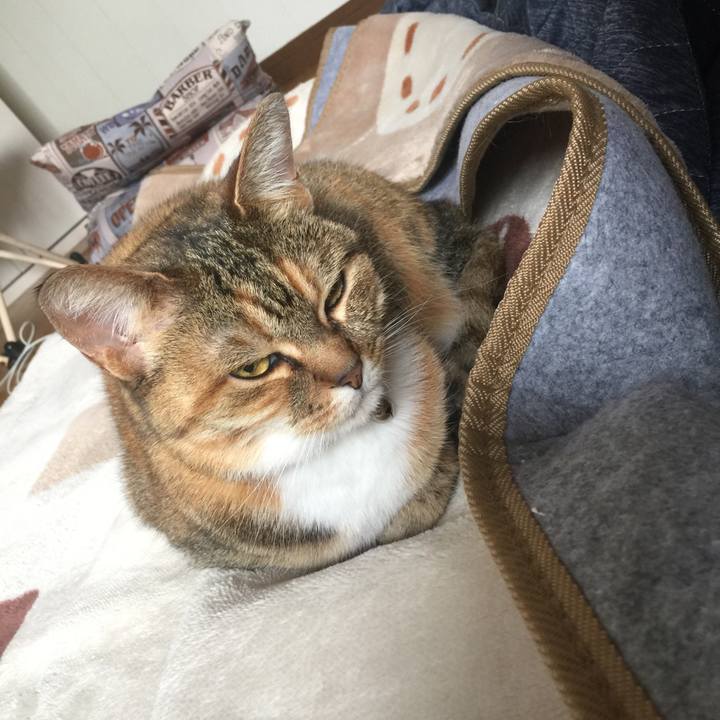 6f349b03 5805 4e17 b667 82388ac0656e 1557102725127