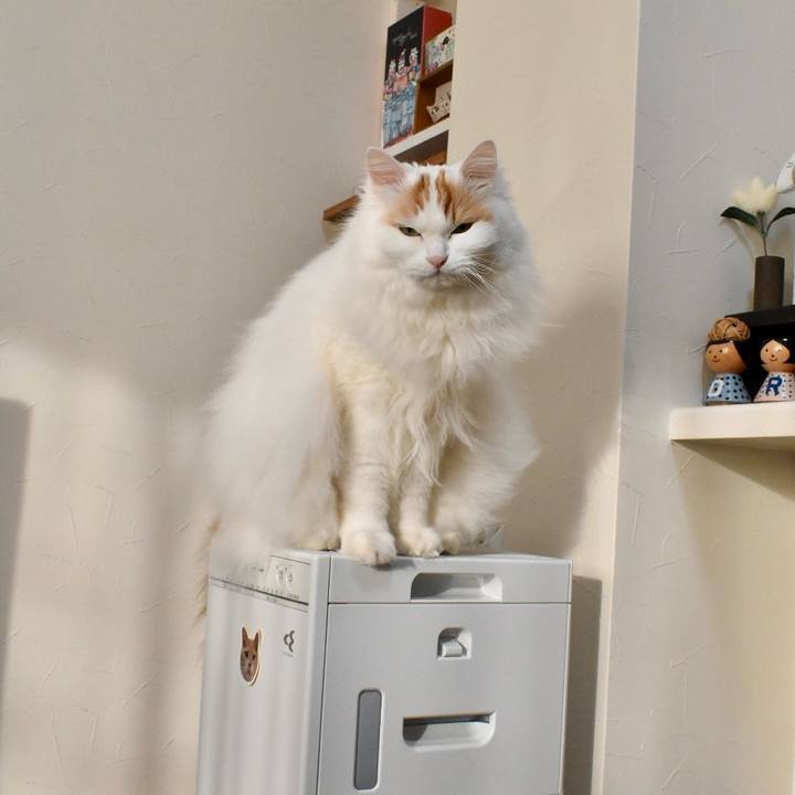 6f34f2c1 bc3a 4644 8df2 3bf3d21994ae 1768699609571