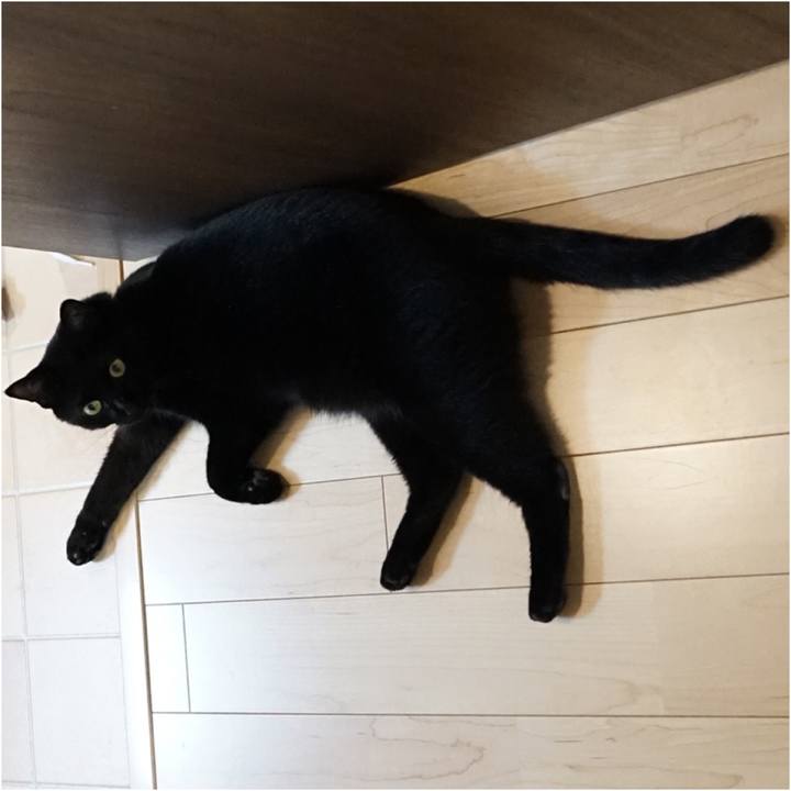 6f3539df 1b34 4507 b077 99db2cbf119c 1560903733499