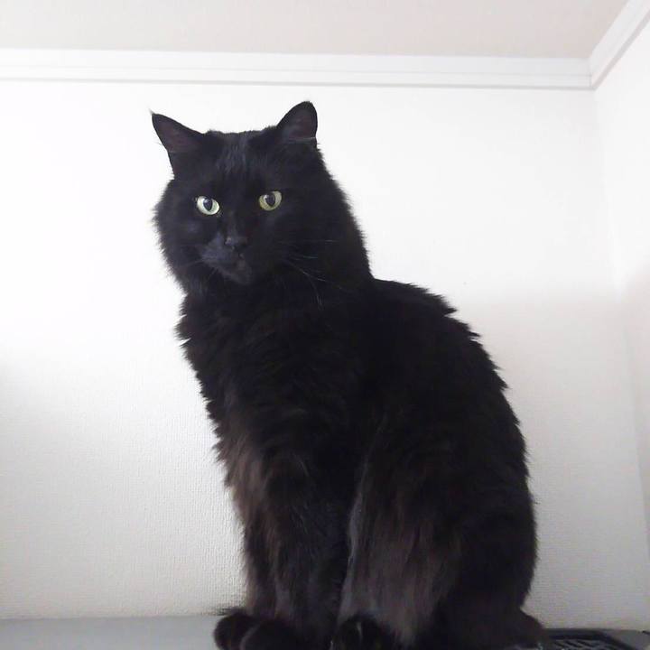 6f354aa7 711b 4527 b77f 4cecab70149d 1528453030551