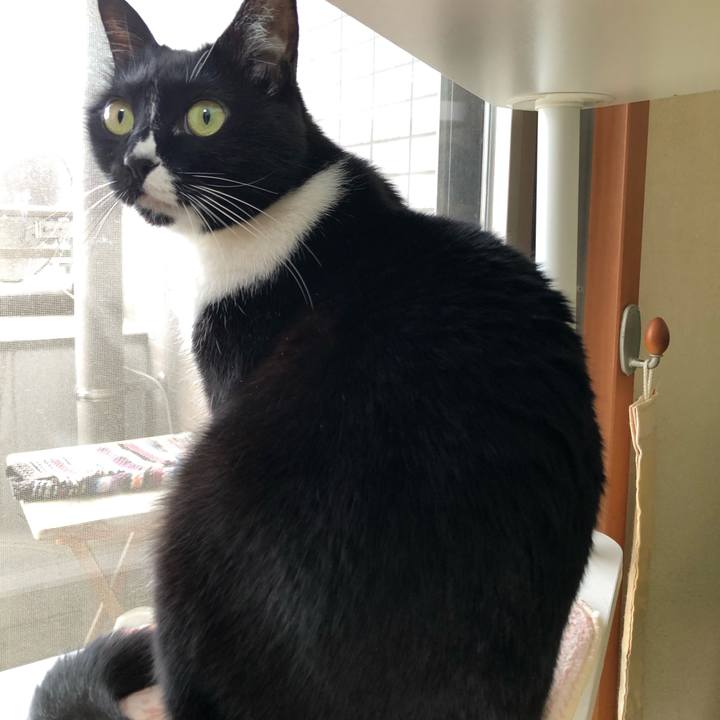 6f356fbc c959 4851 b4ab c8a58bf4f04d 1552878571297