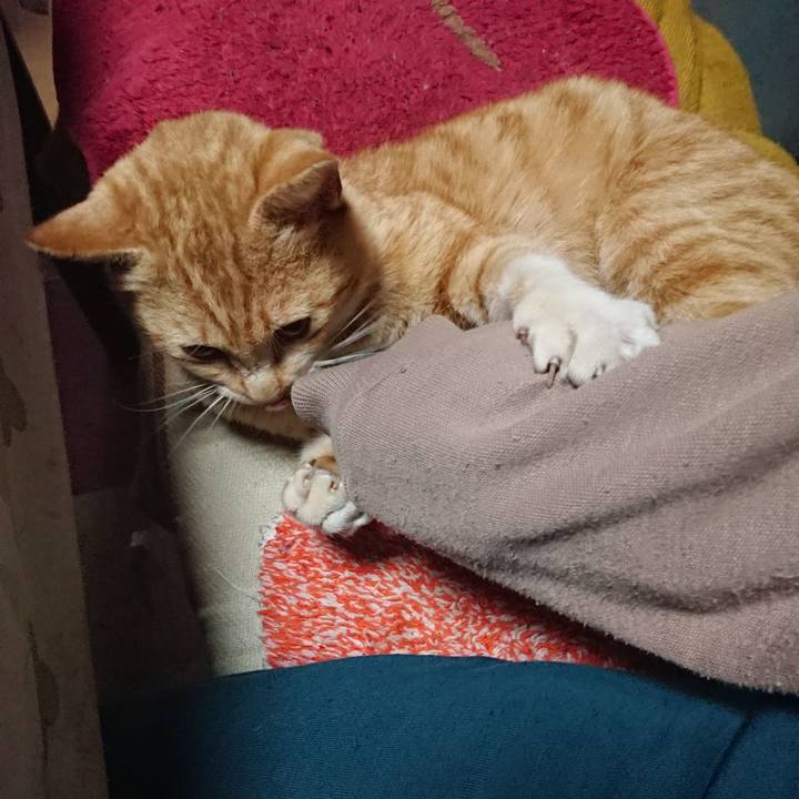 6f35d179 43a3 45b1 8644 57ea7e2e1fb8 1556482814228