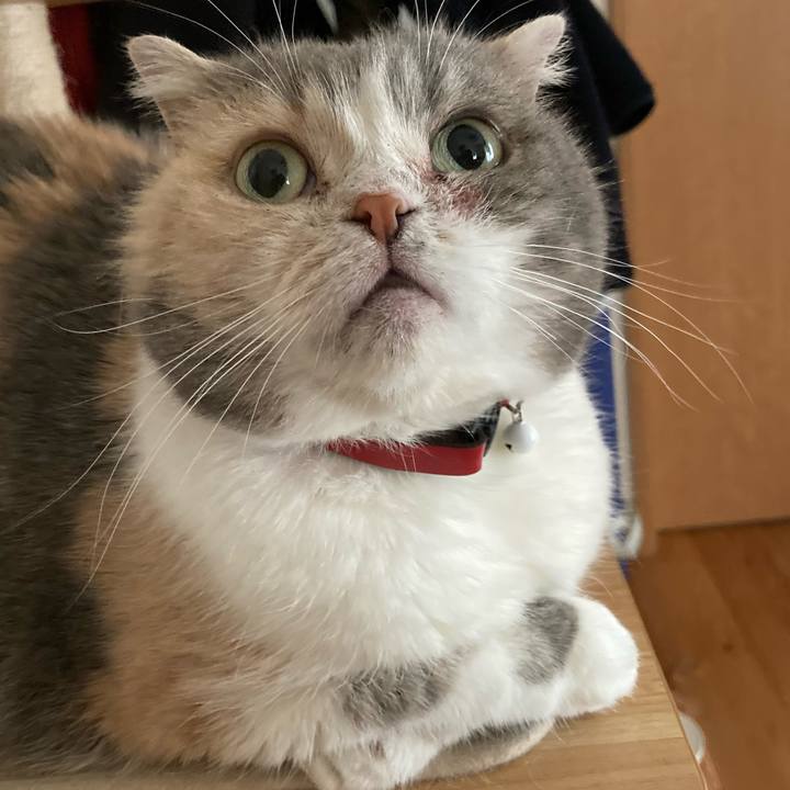 6f361d05 0d98 43c9 856a 26275070f19c 1677631910873